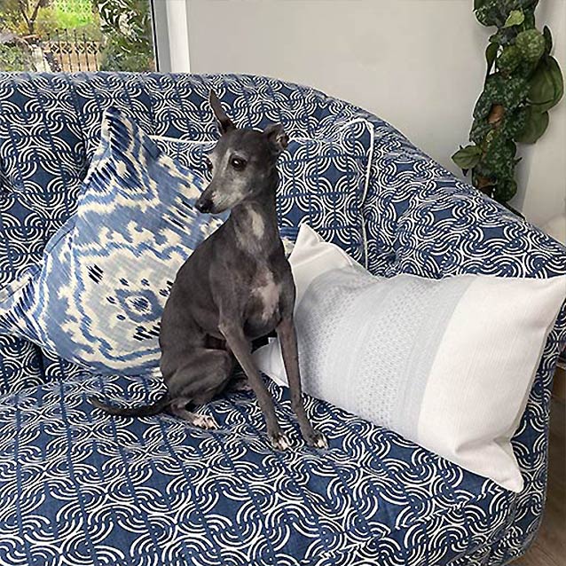 Abbotsbury 3 Seater Sofa in Romo Sarouk Kashi Buxton Blue and Flora