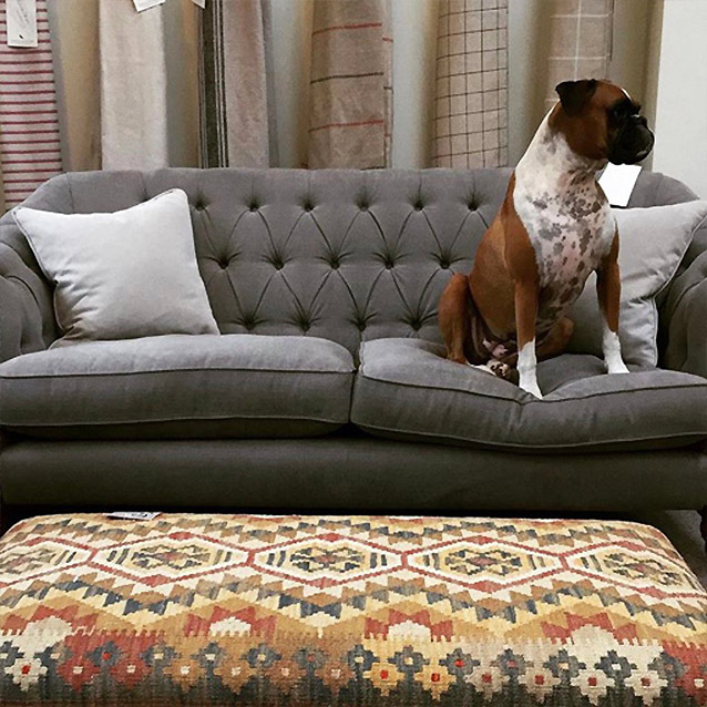 Abbotsbury 3 Seater Sofa in Portland Velvet Grey with Boxer