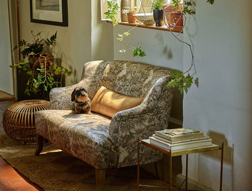 Grassington 3 Seater Sofa in RHS Botanicals on Velvet Ferns Toile Olive with scatter in Almost Plain Velvet Harvest