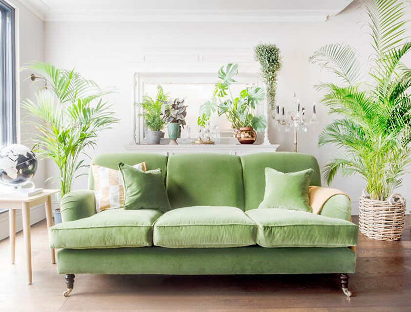 Kentwell 3 Seater 2 Hump Sofa in RHS Botanicals Henry Moon Lions Tail Teal Kentwell 3 Seater 2 Hump Sofa in RHS Botanicals Henry Moon Lions Tail Teal