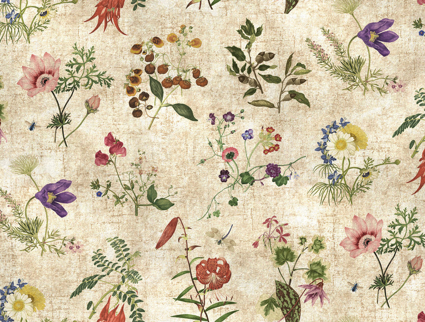 RHS Collection on Velvet - Caroline Maria Applebee Collage: Wildflowers