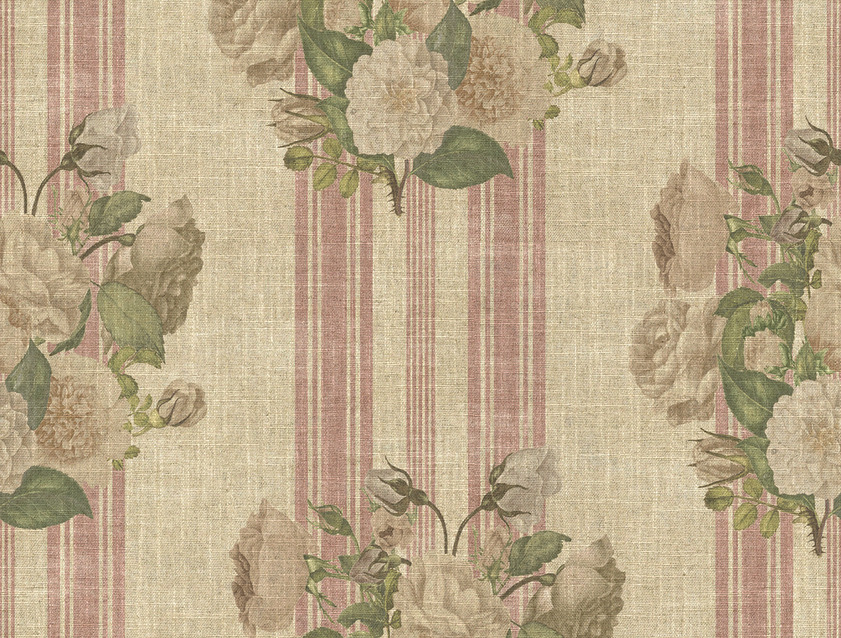 Spill Resistant RHS Etta's Bouquet: Alba Rose