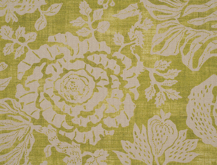 Spill Resistant V&A Flowering Kale: Lime