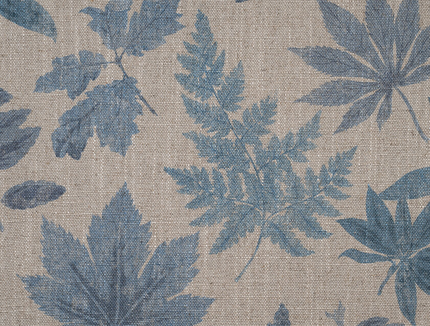 RHS Botanicals - Foliage: Powder Blue