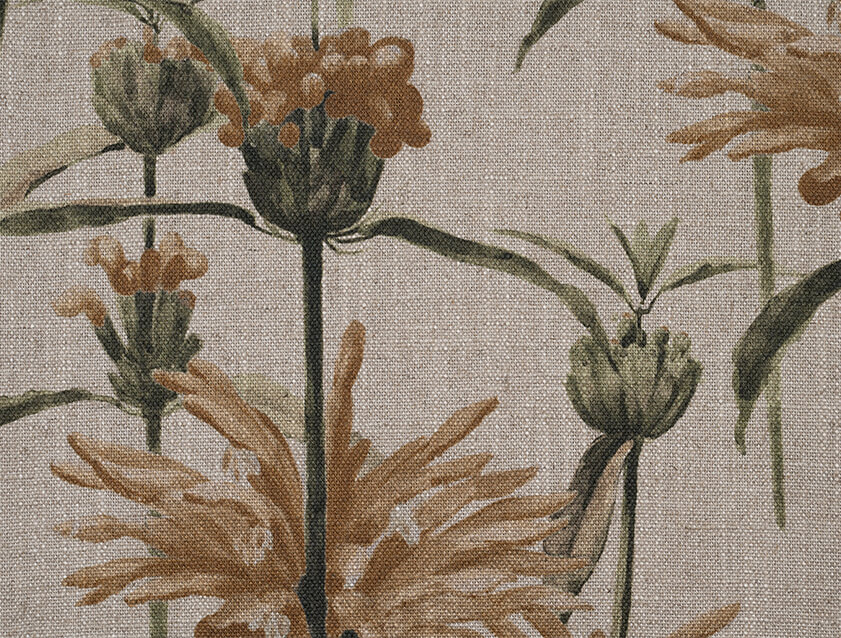 Spill Resistant RHS Henry Moon Lions Tail: Corn