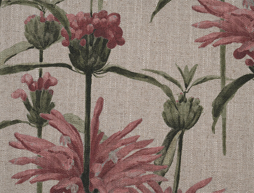 Spill Resistant RHS Henry Moon Lions Tail: Rose