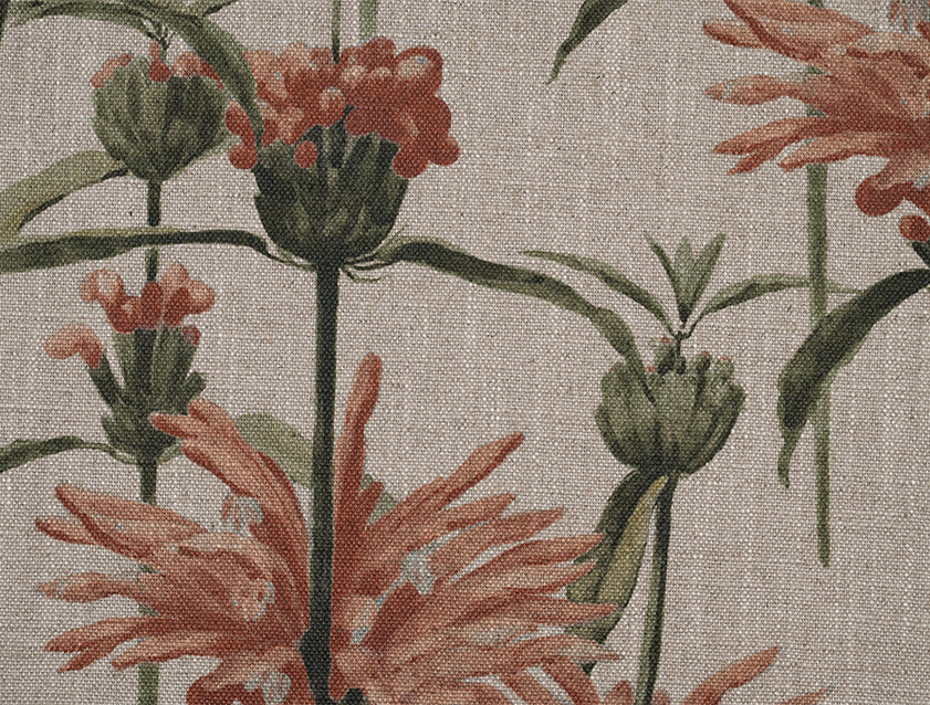 Spill Resistant RHS Henry Moon Lions Tail: Terracotta