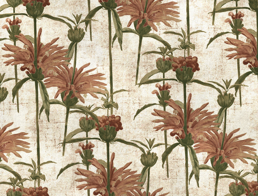 RHS Botanicals on Velvet - Henry Moon Lion's Tail: Blush