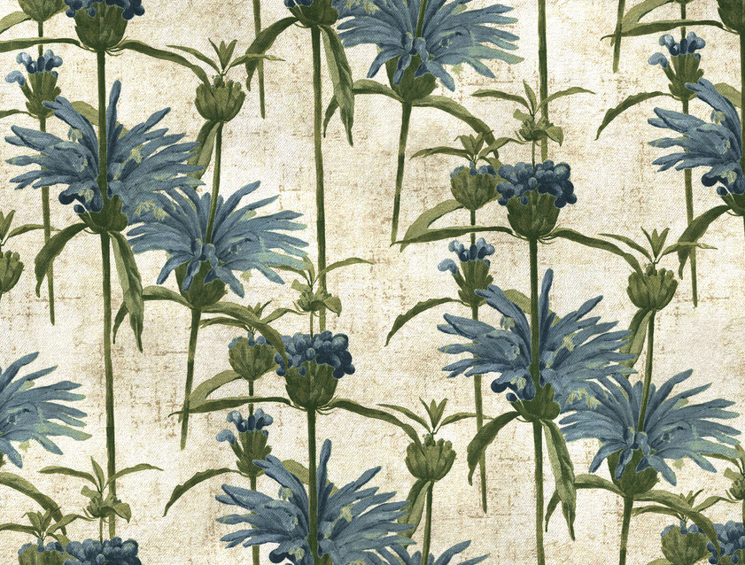 RHS Botanicals on Velvet - Henry Moon Lion's Tail: Capri