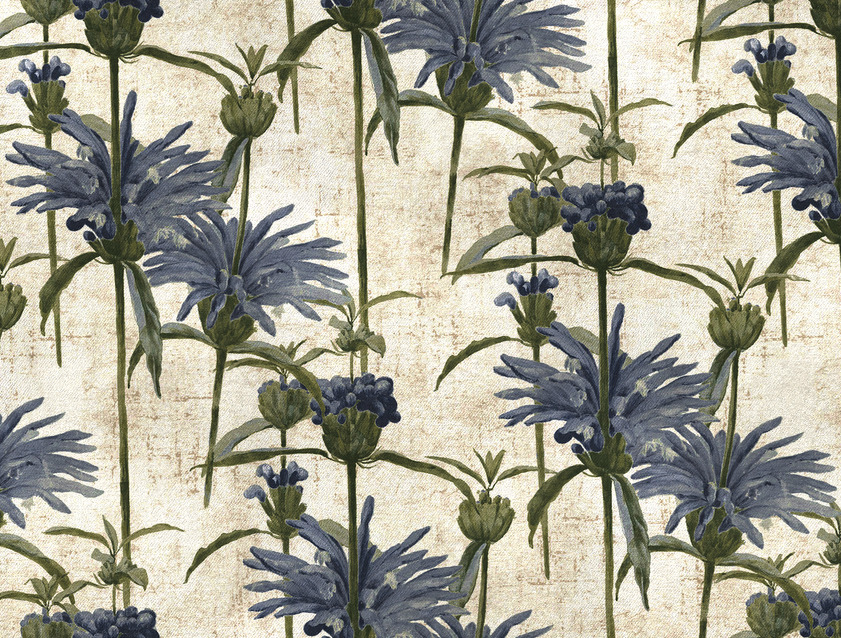 RHS Botanicals on Velvet - Henry Moon Lion's Tail: Cornflower