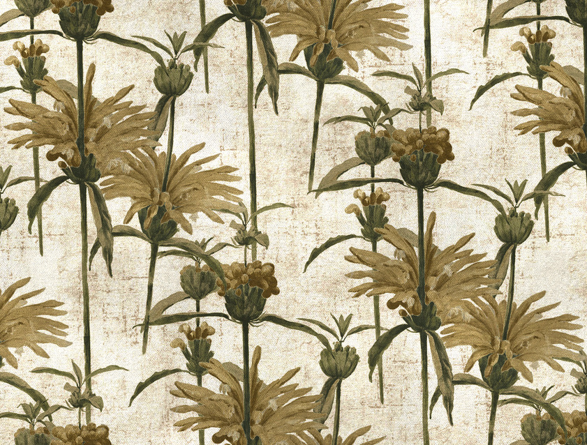 RHS Botanicals on Velvet - Henry Moon Lion's Tail: Sandstone
