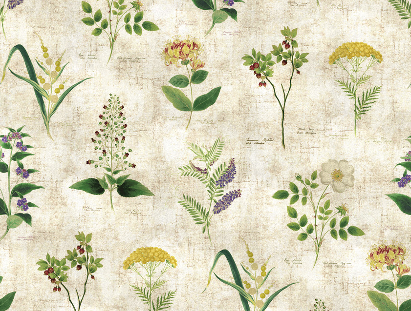 RHS Collection on Velvet - Lydia Penrose Design: Flowers 