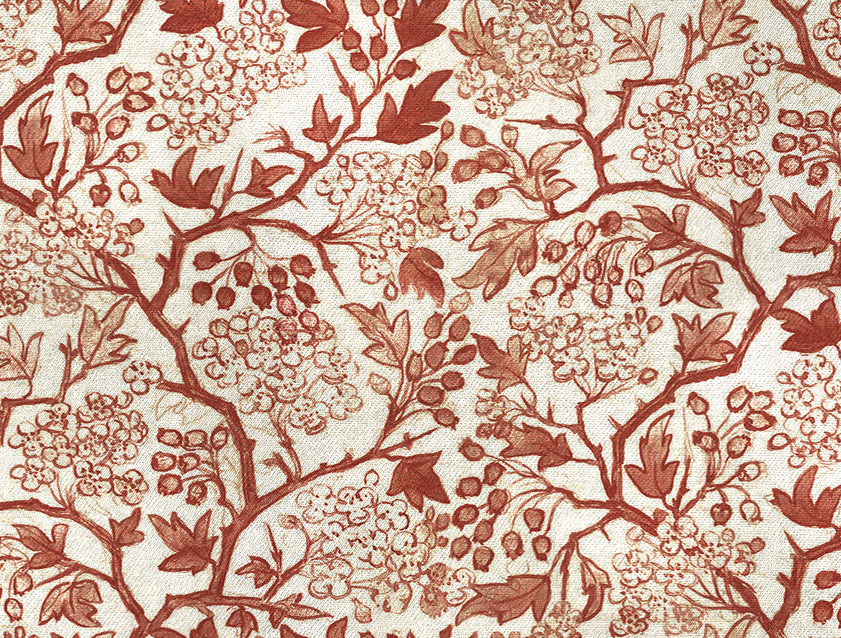 RHS Collection on Velvet - Gertrude Jekyll: Flame