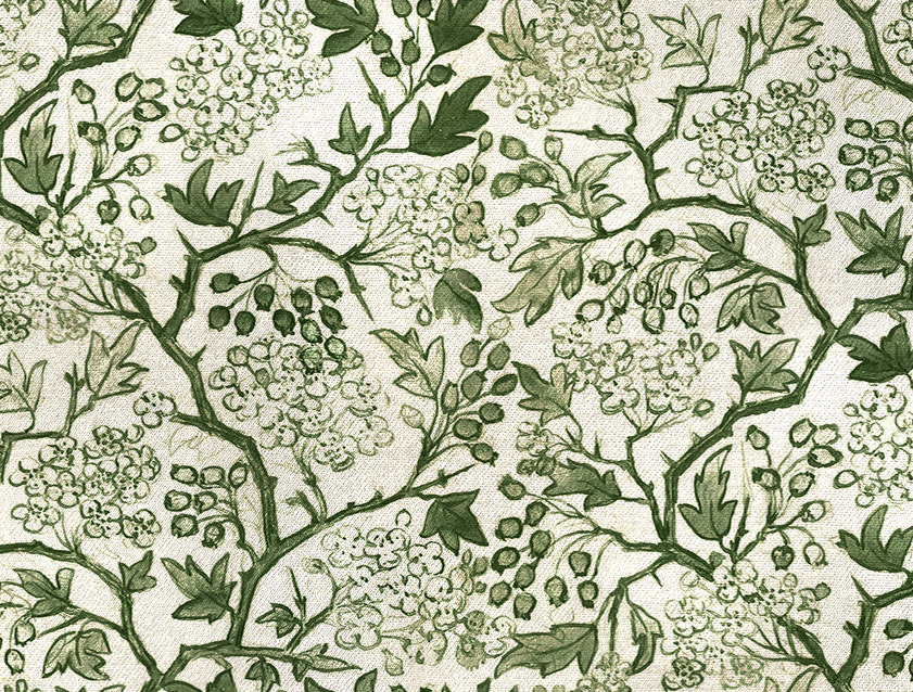 RHS Collection on Velvet - Gertrude Jekyll: Forest
