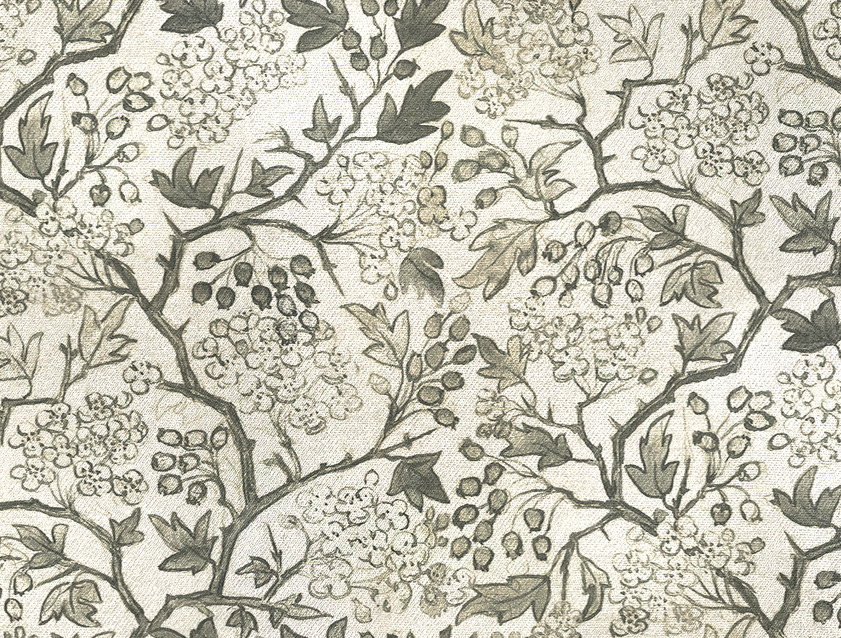 RHS Collection on Velvet - Gertrude Jekyll: Slate