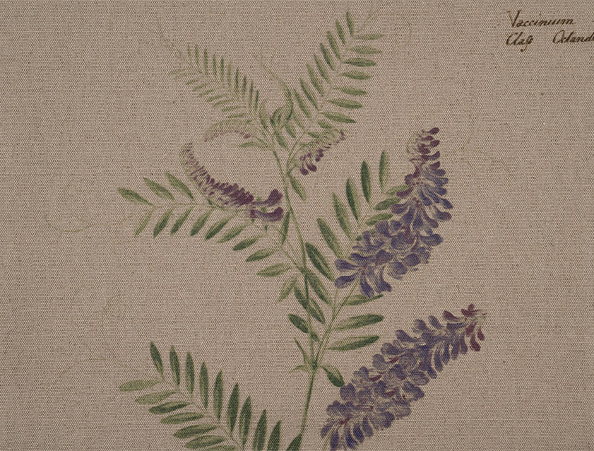 RHS Collection - Lydia Penrose Design: Flowers Linen