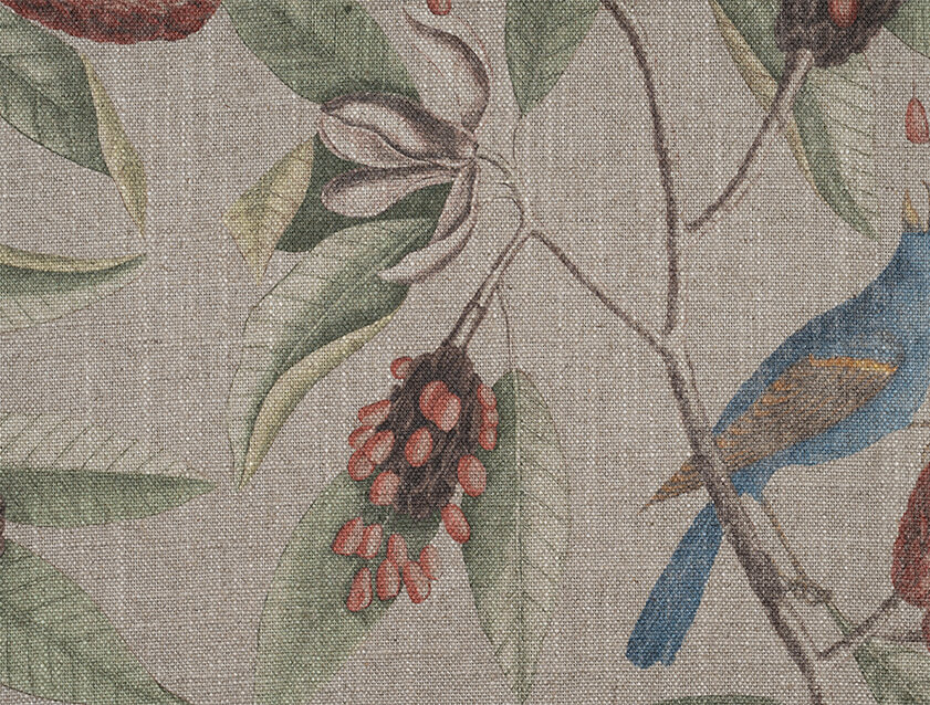 RHS Botanicals - Mark Catesby Grosbeak: Natural