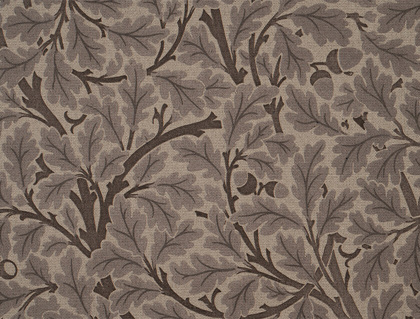 V&A Drawn From Nature - Oak Tree: Brown