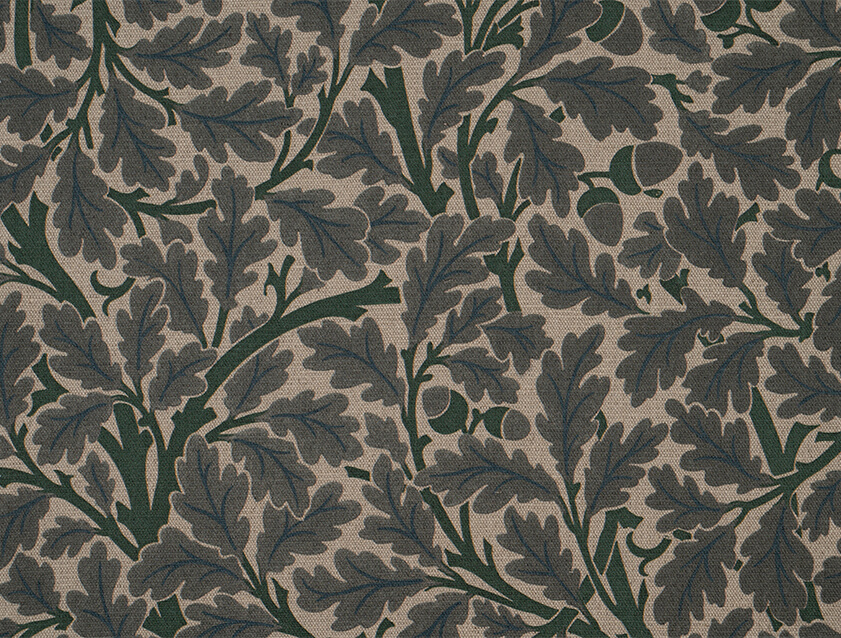 V&A Drawn From Nature - Oak Tree: Dark Green