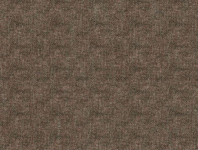 Padua Pavement: Mocha