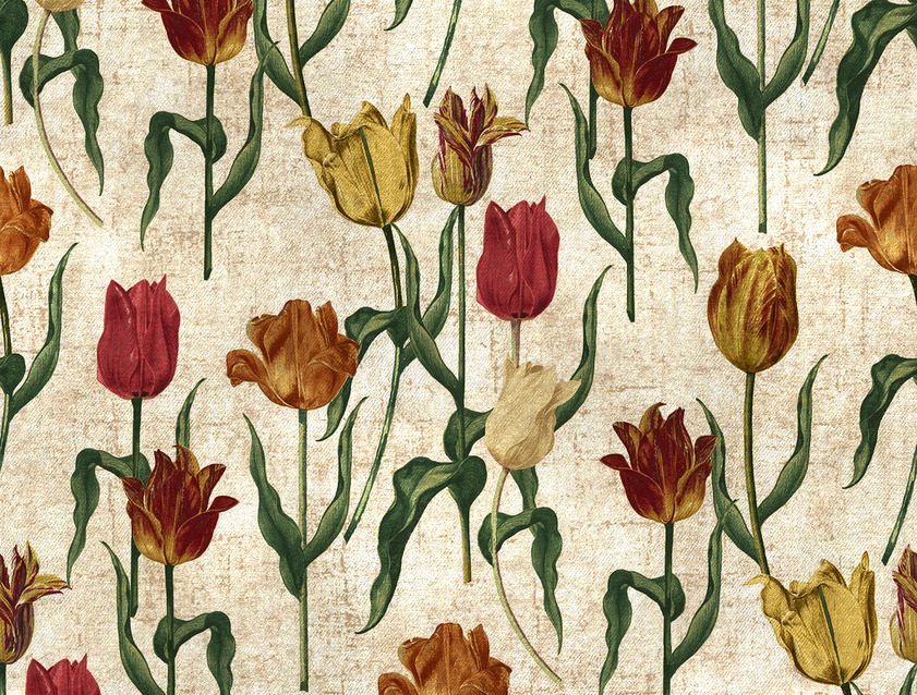 RHS Botanicals on Velvet - Pieter van Kouwenhoorn Tulips: Natural