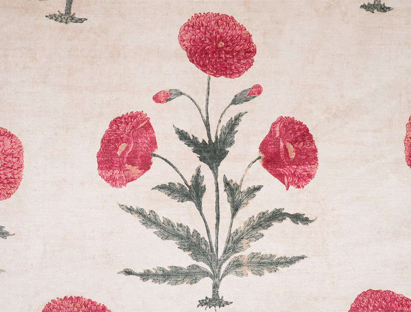 V&A Threads of India Opulent Velvets - Regal Poppy: Chalk