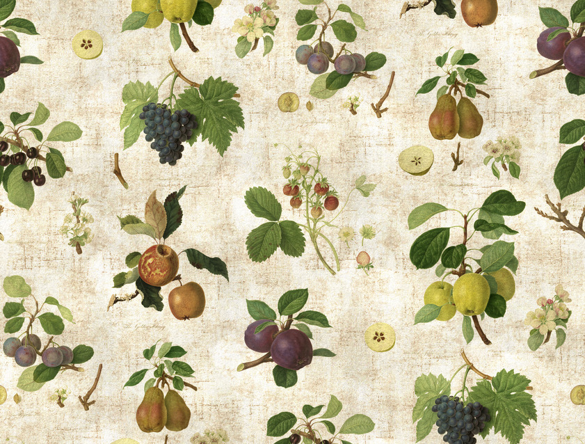 RHS Collection on Velvet - William Hooker Design: Fruit